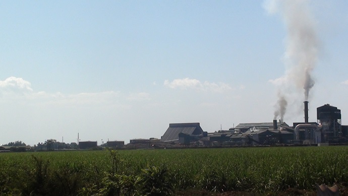 Zambia Sugar Company processing plant overlooked by sugar cane plantation