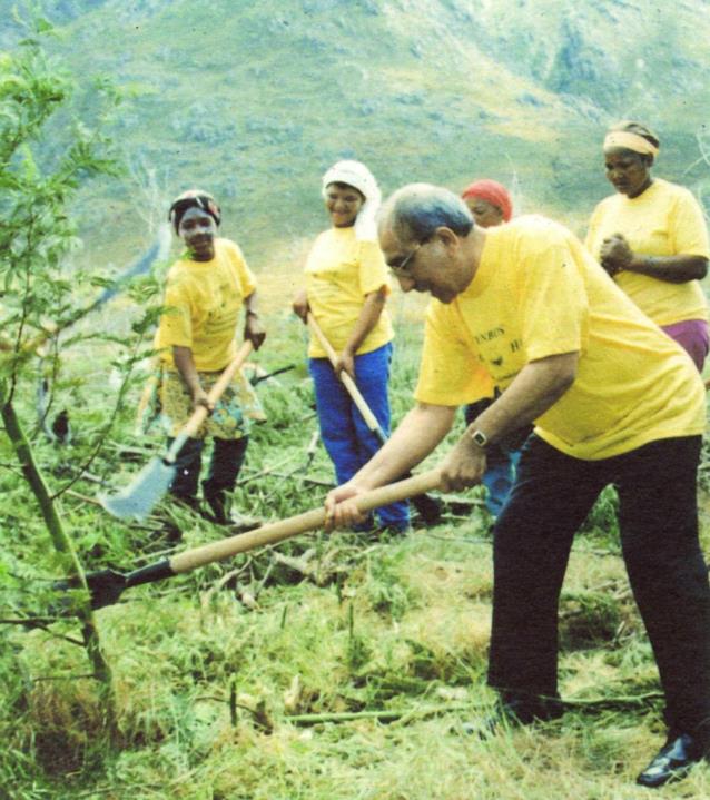 Professor Kader Asmal, the then Minister of Water Affairs and Forestry, cutting down the first black wattle (Acacia mearnsii) on 16 October 1995, that heralded the official start of South Africa’s biggest Public Employment Programme, the Working for Water programme.