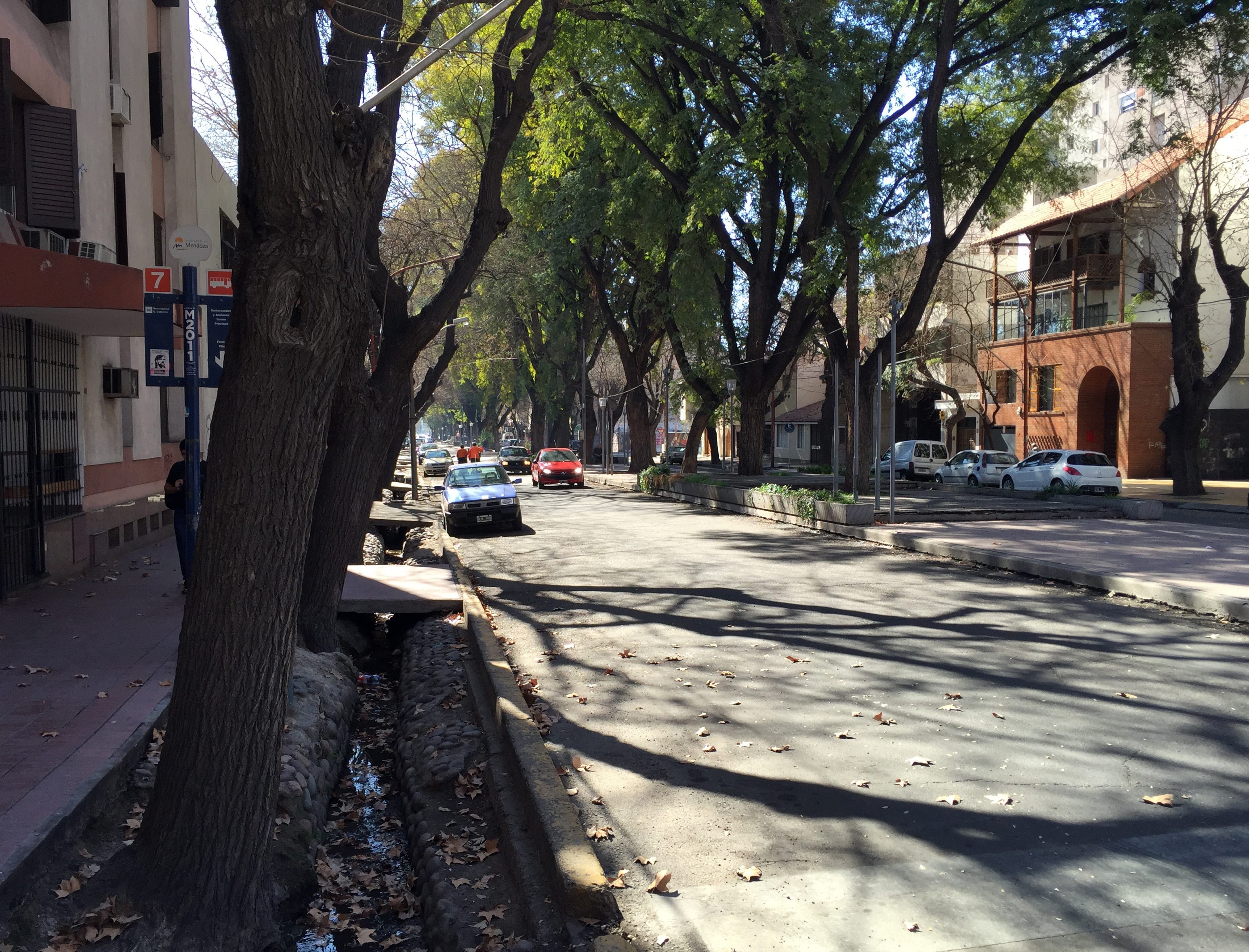 Street in Mendoza