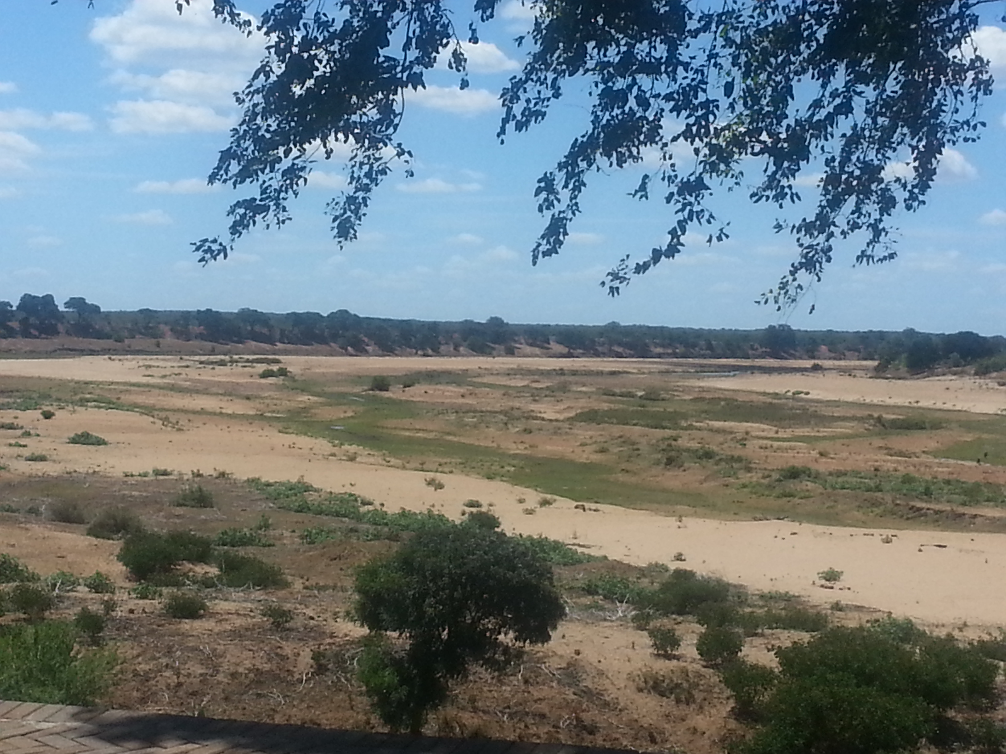 Dry Letaba river in Kruger National Park (Photo: Linda Downsborough)