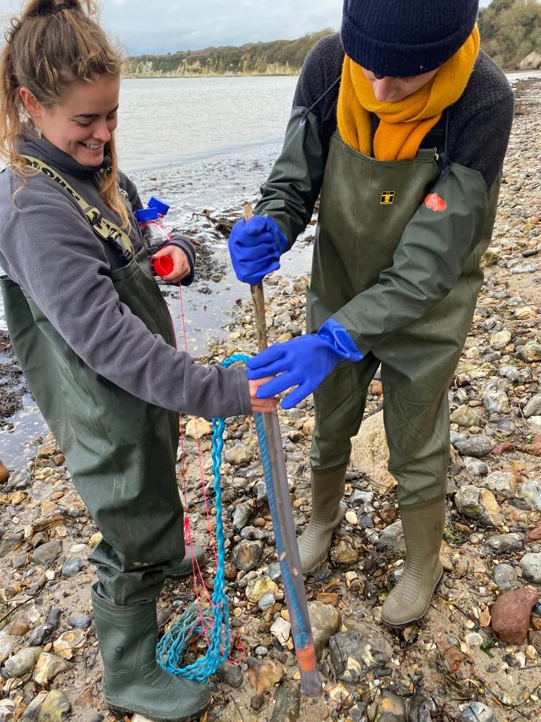 Students investigate the accumulation of microplastics in seagrass meadows
